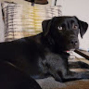 Meet your Posher, Adrianna